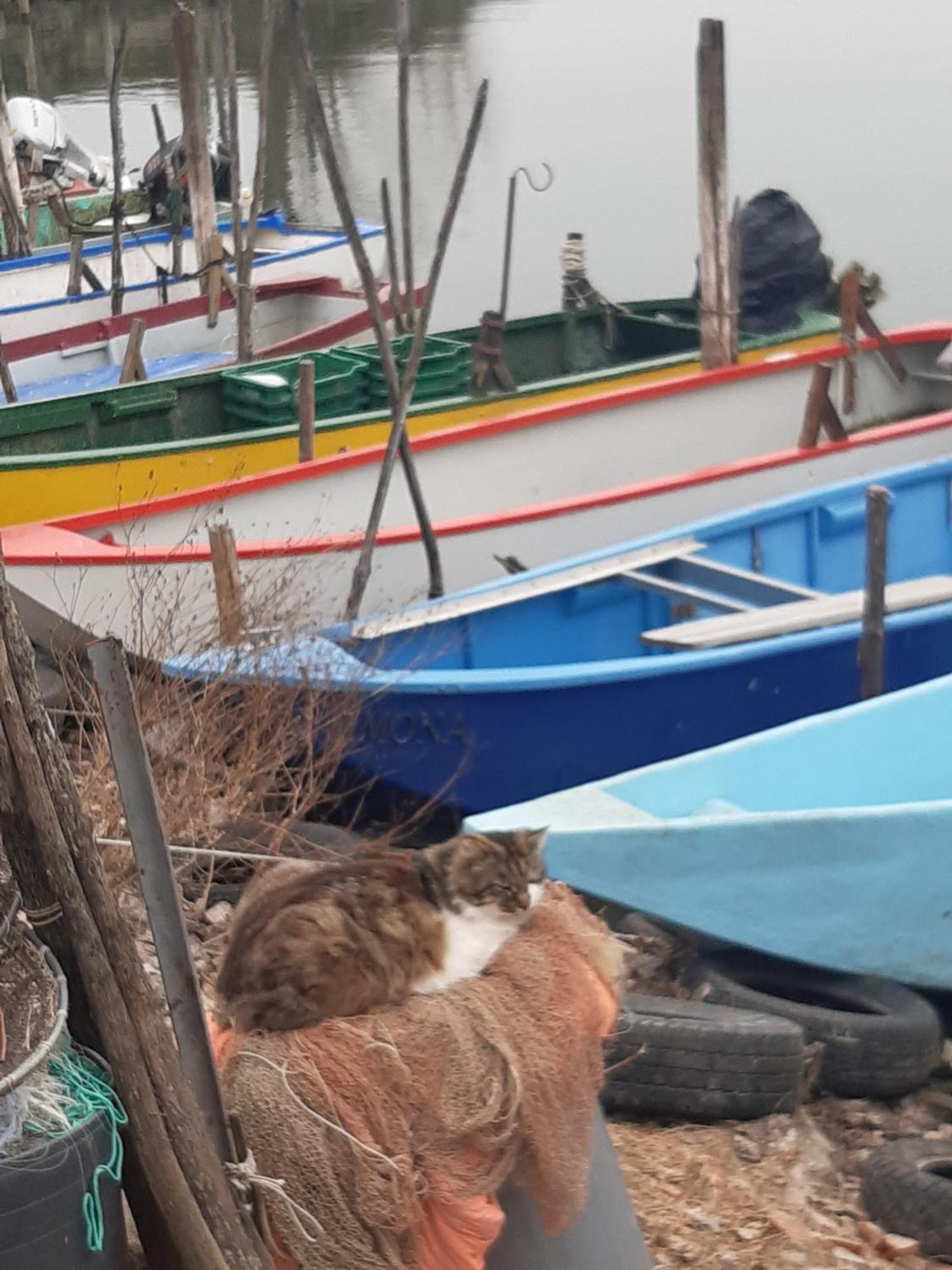 شقة Le Rondini Torricella  المظهر الخارجي الصورة